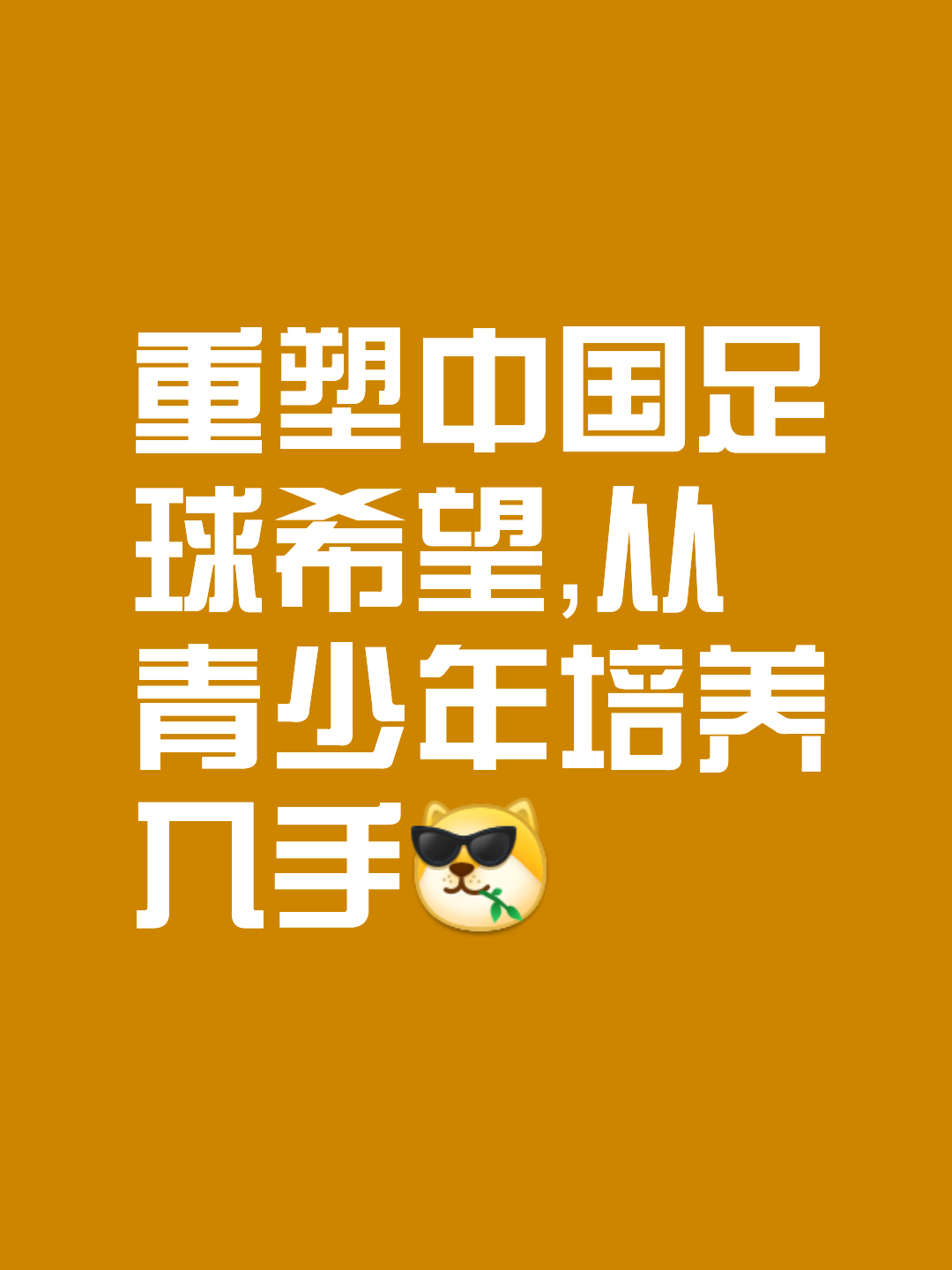 国内球队立志崛起，欲问鼎亚洲赛场尽力而为的简单介绍